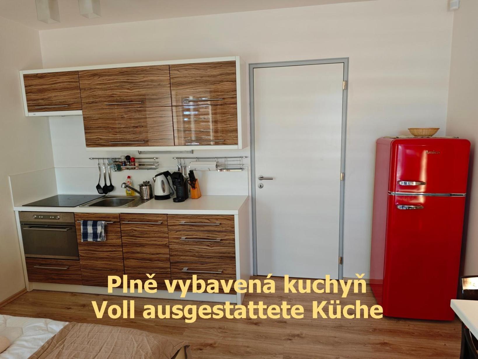 Apartman Sova - Klinovec Loučná pod Klínovcem المظهر الخارجي الصورة